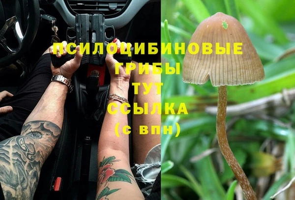 индика Абинск