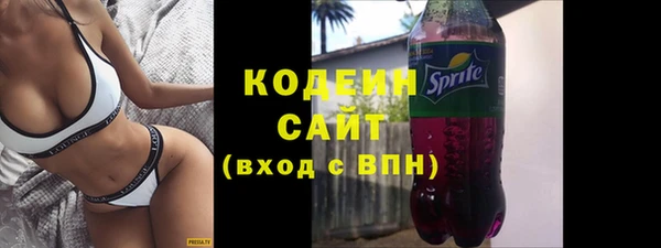 индика Абинск