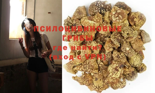 индика Абинск