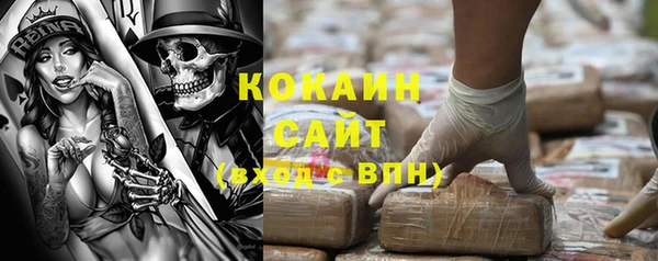 индика Абинск