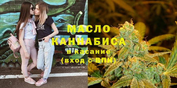 индика Абинск
